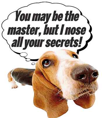 i nose your secrets